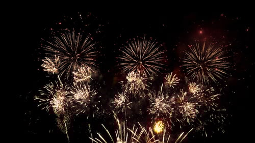 Golden Fireworks Exploding in the Night Sky