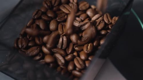 Coffee Beans Pouring into Container
