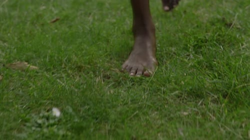 Bare Feet Walking on Green Grass in Daylight