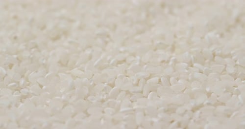 White rice