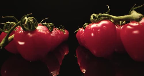 Fresh Cherry Tomatoes on Black Reflective Surface