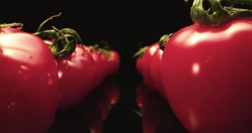 Tomatoes close up shot