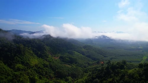 An aerial view from a drone flying over the many fogs in the mountains