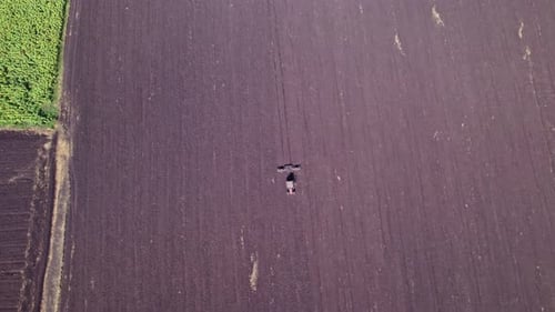 Tractor Tilling Center of Farm Field in the Fall