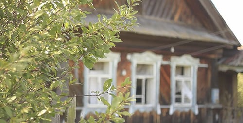 Green Leaves And Abandoned Village House