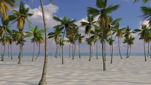 Großer Strand mit tropischen Palmen und weißem Sand in der Nähe des Meeres.