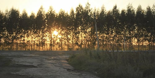 Camino al atardecer 2