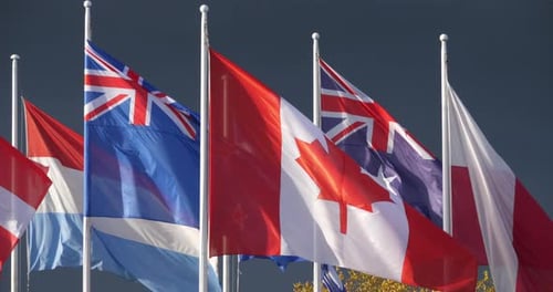 International Flags Waving Proudly in the Wind