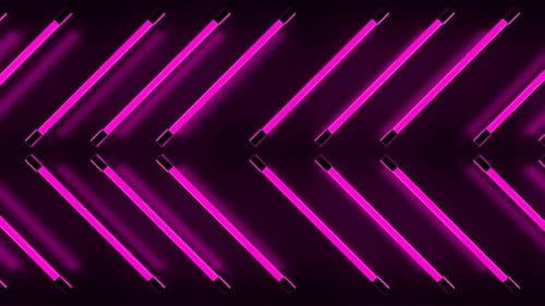 Pink Neon Lights Loop
