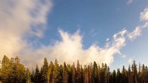 Time Lapse of the clouds above a forest