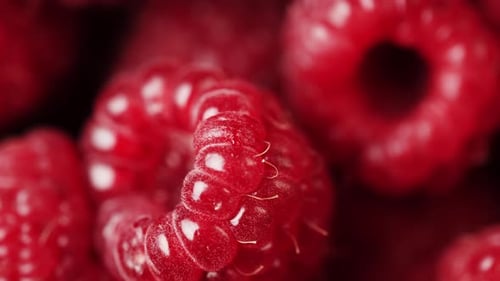 Close Up of Rotation Scarlet Raspberry