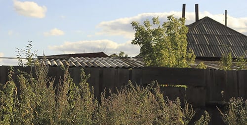 Wooden Fence And Green Grass