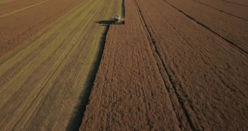 Ein Rapsfeld wird von einem Mähdrescher geerntet, ein Blick von einer Drohne