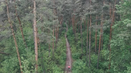 Sportive woman running downhill in forest on rainy day. Female run on dirty trail in dense forest