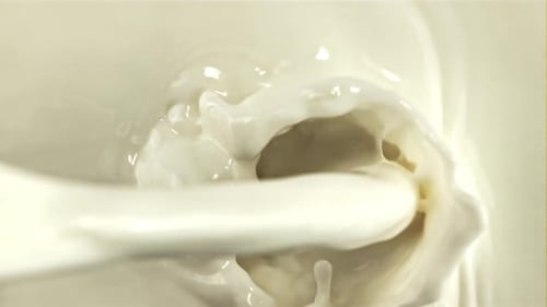 A Stream of Fresh Milk Pours in with Splashes