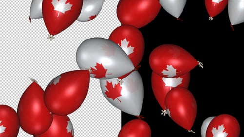 Red and White Maple Leaf Balloons Floating Animation