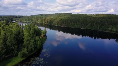 Lake surrounded by trees