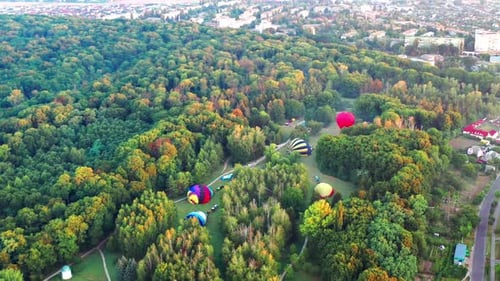 Multicolored balloons fly over trees. Nice top view of the park, forest covered with greenery