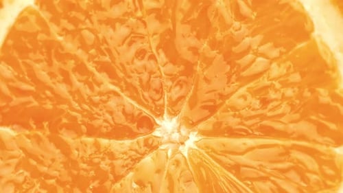 Turn Up Macro Fresh Orange Circle Slice Texture with Peal Vitamin Detox Fruit Antioxidant Delicious