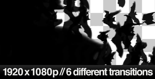 Bats Flying Across the Screen Transitions 6 Styles