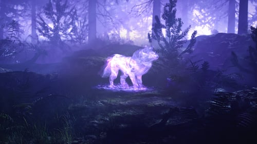 Ethereal Wolf Spirit Logo Reveal with Magical Particles