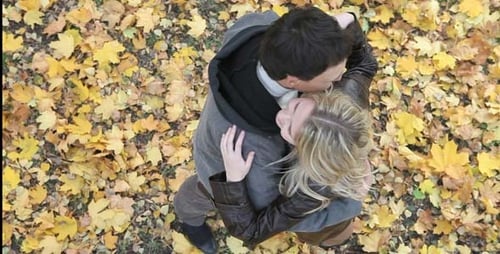 Romantic Couple Embracing in Autumn Leaves, Aerial View