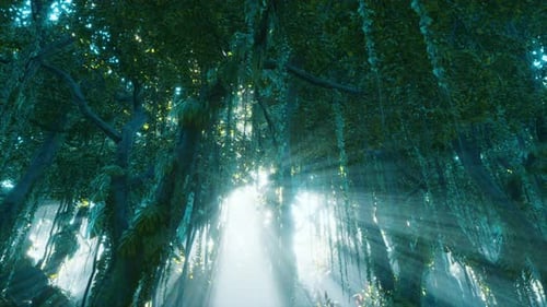 Deep Tropical Jungle in Darkness