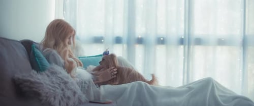 Woman Pets Dog on Sofa in Cozy Home