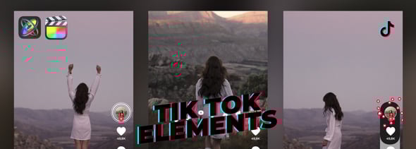 TikTok Elements