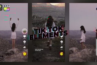 TikTok Elements
