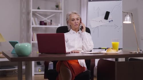 Professional Woman Talking on Cellphone at Desk