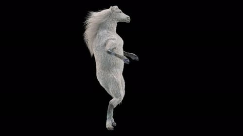 55 White Horse Dancing 4K