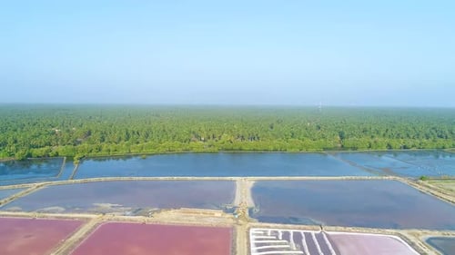 Sri Lanka's Salt harvesting drone shot