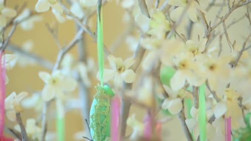 Flowering Tree with Hanging Decorations Hearts. Close Up