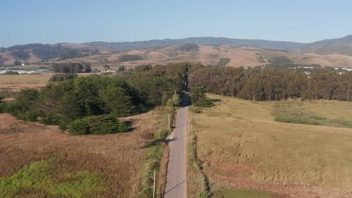 Small Road In The Nature