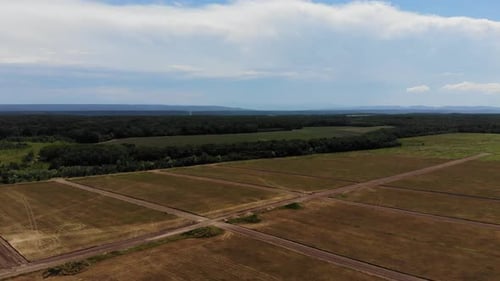 Aerial view of the road in field.