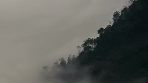 Nebel bewegt sich auf Mystic Forest
