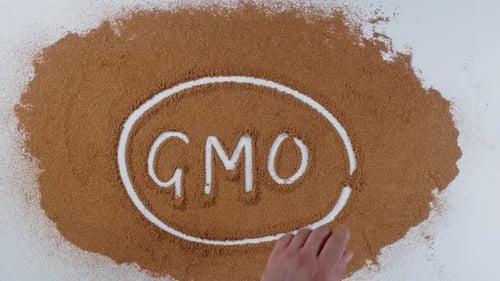 Hand Writes On Soil Gmo