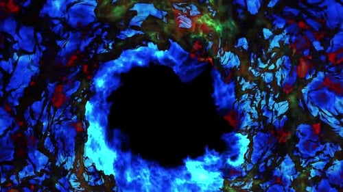 Abstract Swirling Portal Reveal Transition with Vibrant Colors