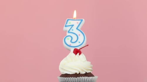 Birthday Cupcake with Number Three Candle