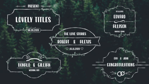 Decorative Wedding Titles with Hand-Drawn Frames