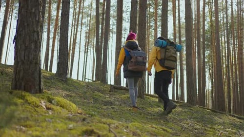 Afroamerican Couple Hiking Trekking in Forest with Backpacks Enjoying Their Adventure Tourism