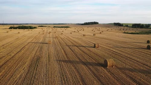 Straw Bales on Farmland with a Blue Cloudy Sky