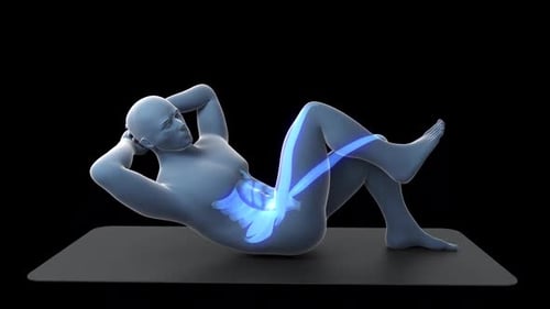 3D Human Anatomy Animation for Abdominal Crunch Exercise