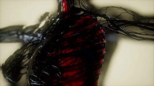 Dynamic 3D Human Anatomy System with Bio-Organic Veins