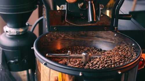 Side View of Coffee Beans Cooling in Cooling Tray After Being Roasted