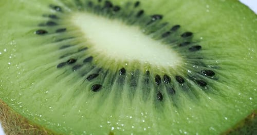 Close Up Of Fresh Green Kiwi Fruit Slice