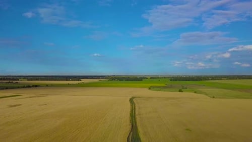 Scenic Aerial of Farm Fields and Dirt Road