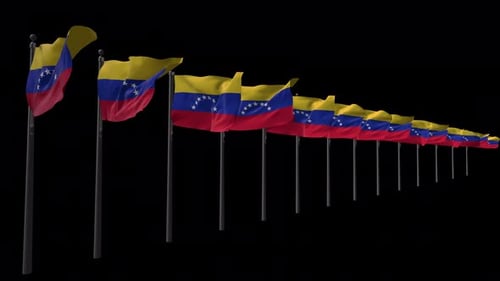 Waving Venezuelan Flags Seamless Loop