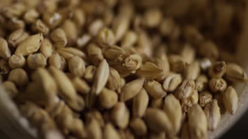 Imagens em câmera lenta de suprimentos e processos de fabricação de cerveja em casa